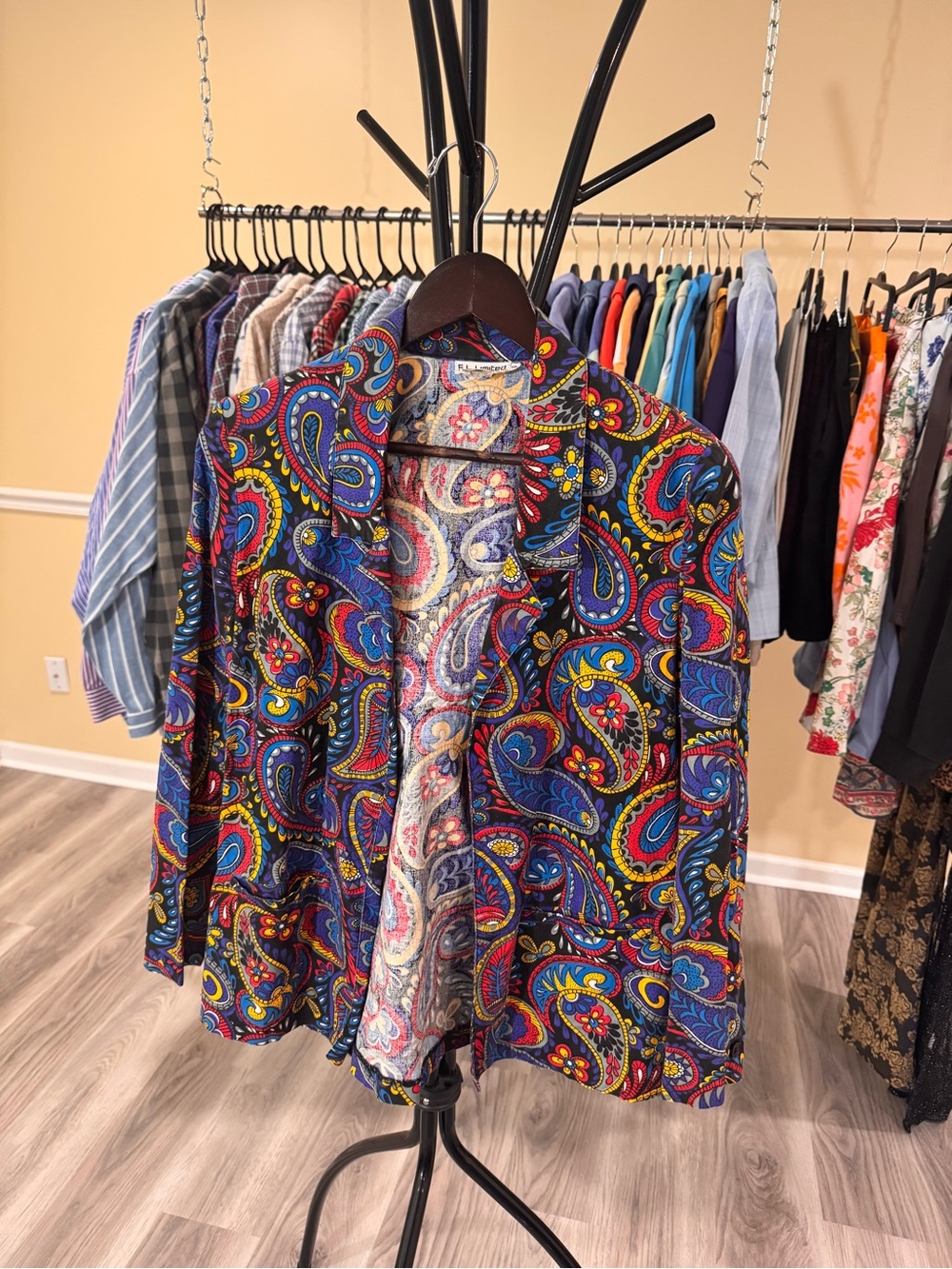 The Limited Multicolor Paisley Blazer Jacket